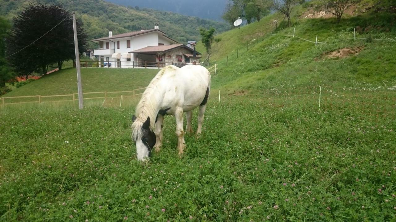 B&B In Fattoria Frisanco 외부 사진